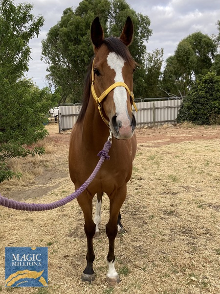 315112FD-6D67-4931-B258-84A4613E6CA7.jpg - Image 3