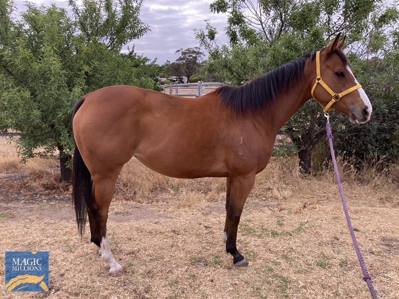 59DAE702-B285-4955-BBAF-7BDFC9F28887.jpg - Image 3