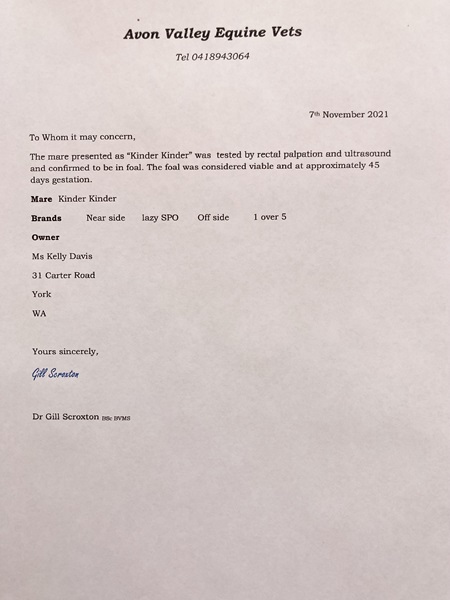 Pregnancy Certificate