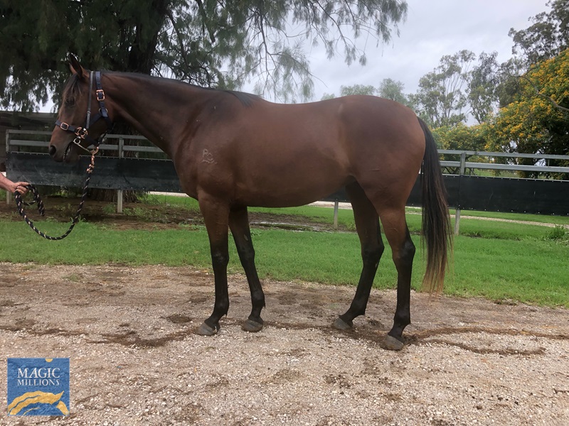 978557E2-D466-4F83-9CBC-57863D8320BB.jpg - Image 1