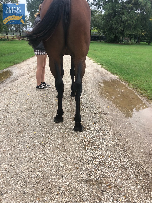 0D099F08-C166-41F0-907F-18A21282D81E.jpg - Image 2