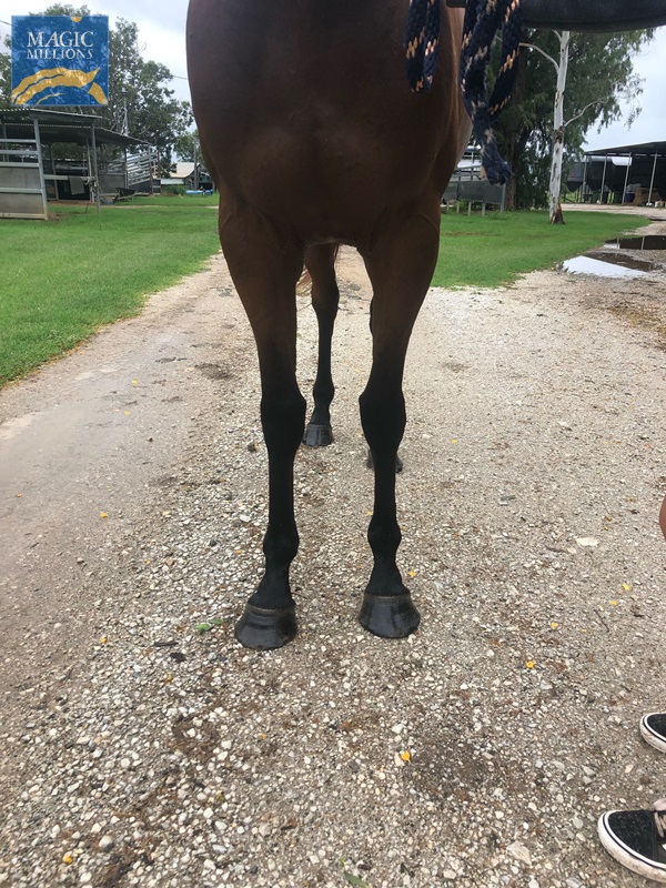 ECC2B794-40B3-4BC4-8A90-F47B122F8DED.jpg - Image 3