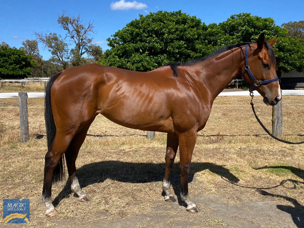 Lucky Foo Foo (AUS) - Image 1