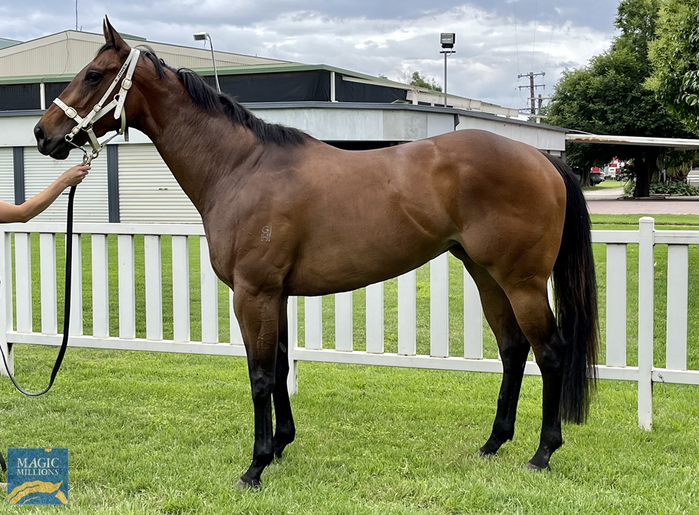 Kenderesi (NZ) - Image 1