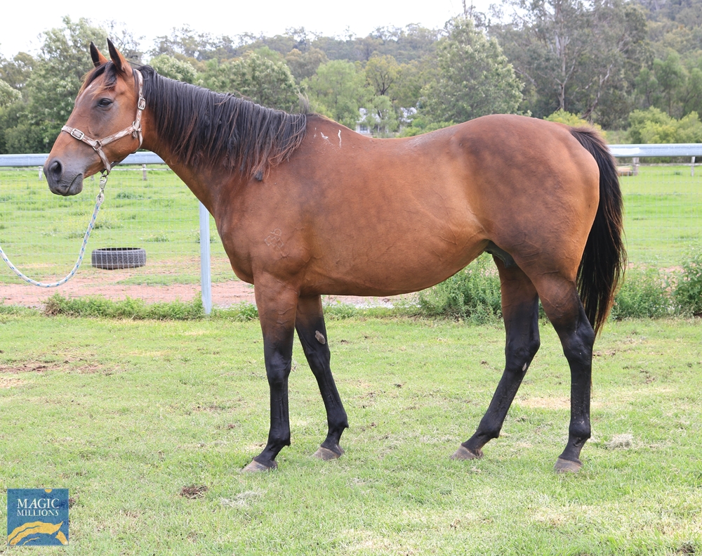 Lykanna (AUS) - Image 1