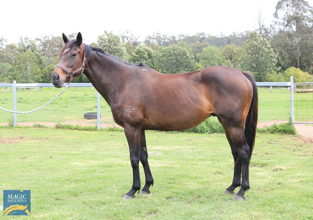 Annulment (AUS) - Image 1