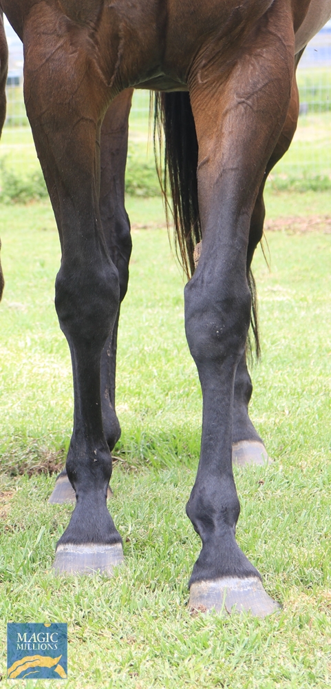 Annulment (AUS) - Image 2