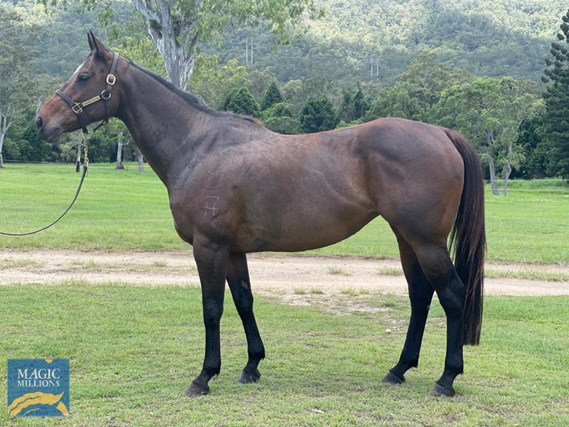 Heaven or Hell side.jpg - Image 1