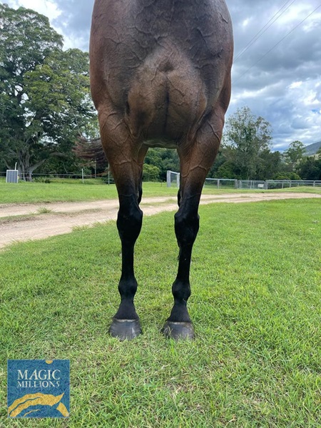 Heaven or Hell fronts.jpg - Image 3