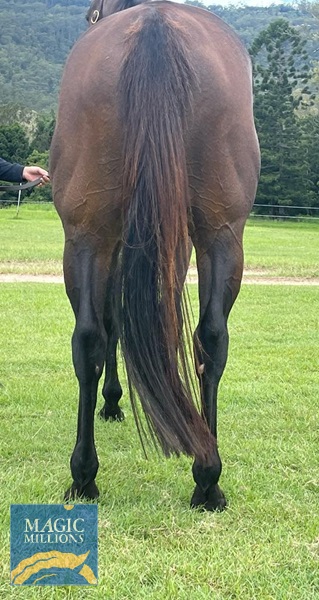 Heaven or Hell hind.jpg - Image 3