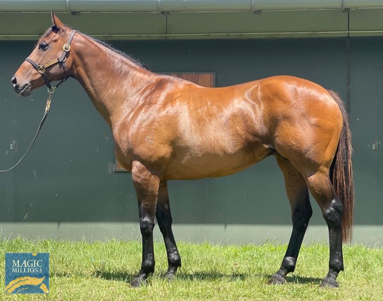 Electra.jpg - Image 1