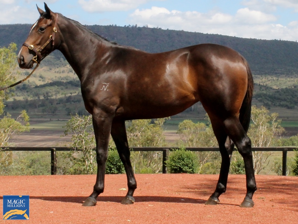 Tarmonic (AUS) - Image 1