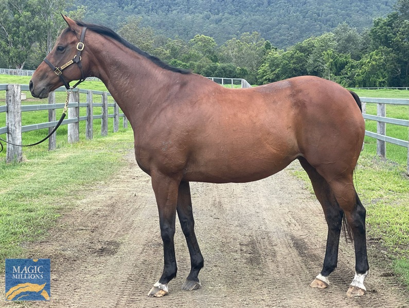 Magic Raelene side.jpg - Image 1