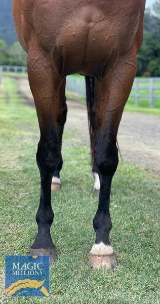 Magic Raelene fronts.jpg - Image 2