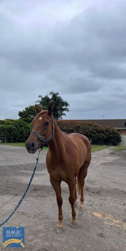 Pay Up (AUS) - Image 1