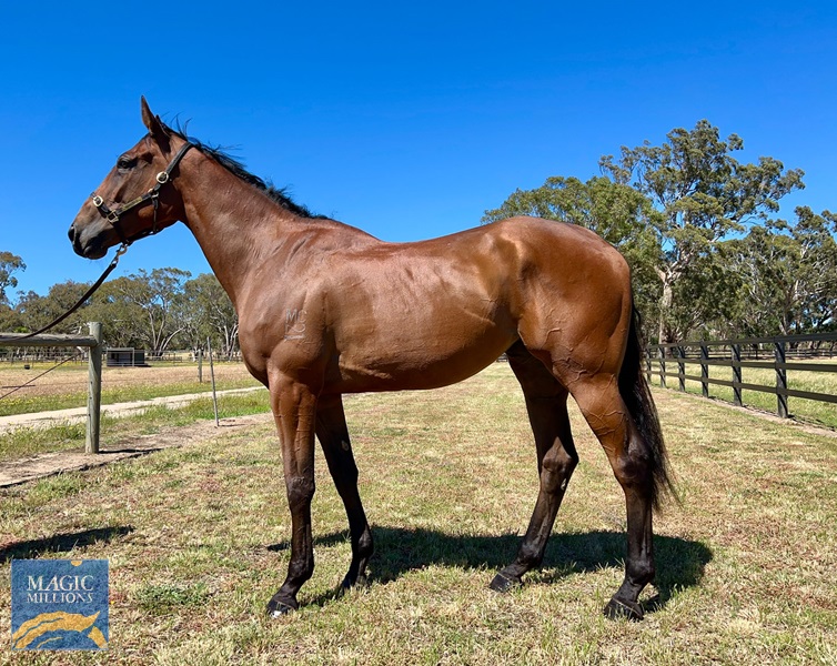 WhatsApp Image 2021-12-03 at 8.08.04 PM.jpg - Image 1