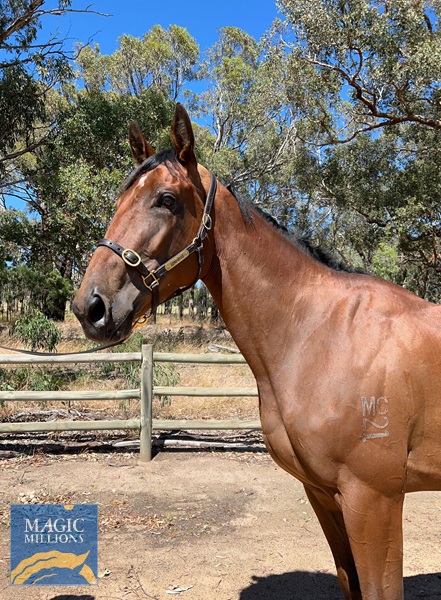 WhatsApp Image 2021-12-03 at 8.08.05 PM.jpg - Image 2