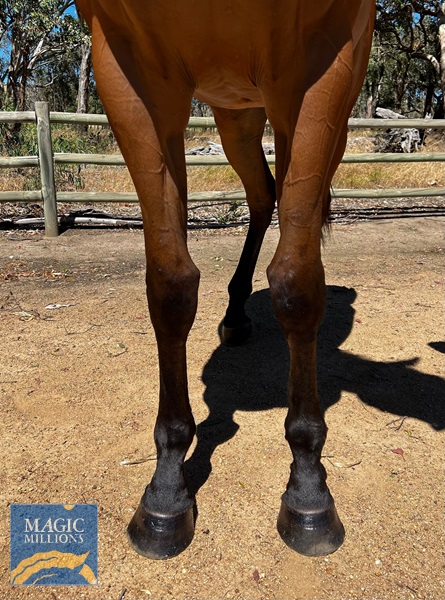 WhatsApp Image 2021-12-03 at 8.08.04 PM (1).jpg - Image 3