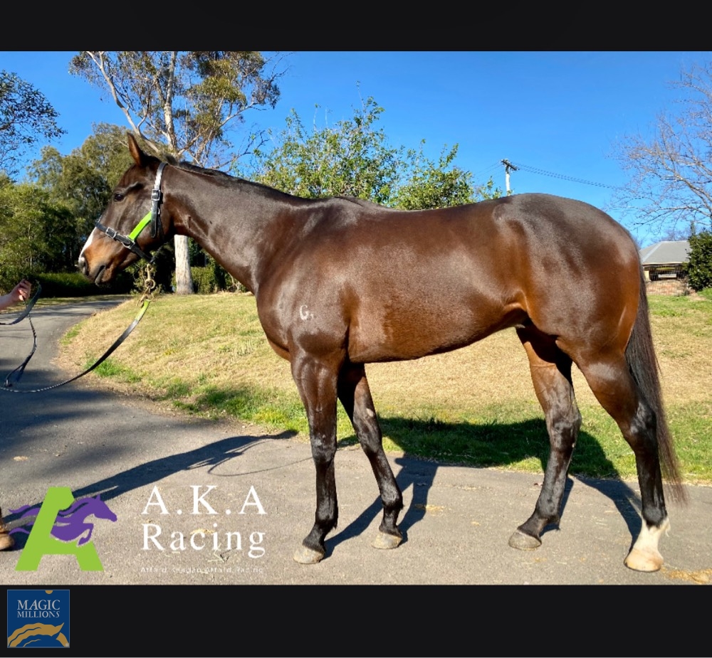 More Joie (AUS) - Image 1