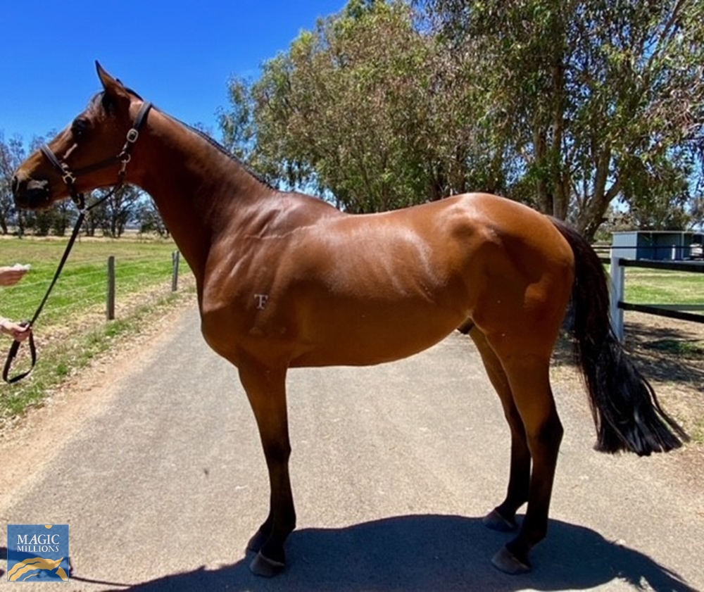 Turbo Power (AUS) - Image 1