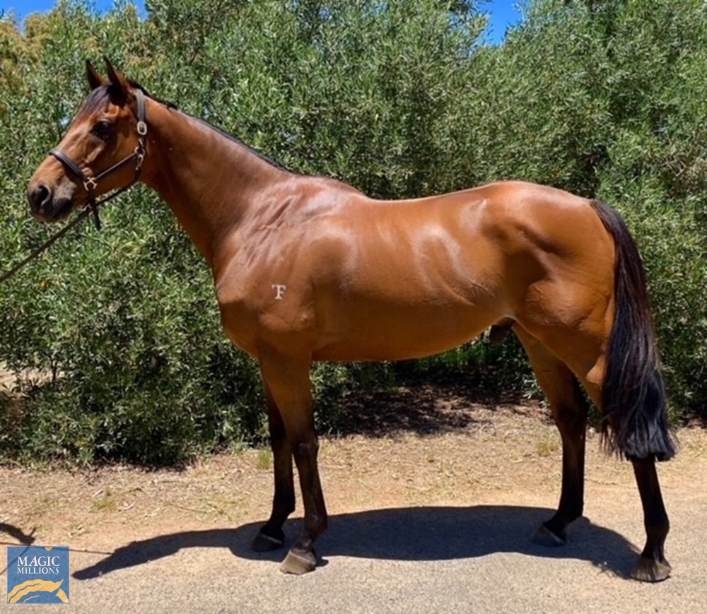 Turbo Power (AUS) - Image 2