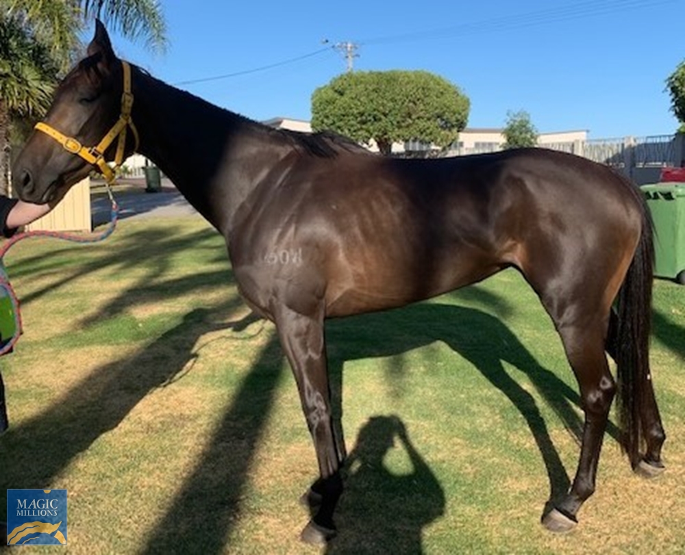 Eliminate (AUS) - Image 2