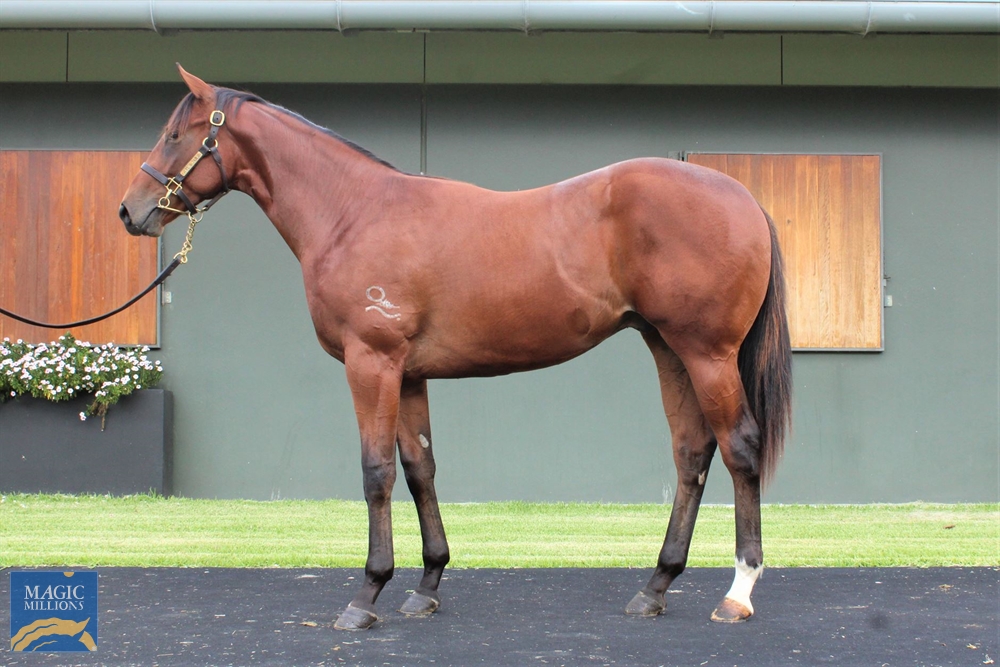 Magic Raelene (AUS) - Image 1