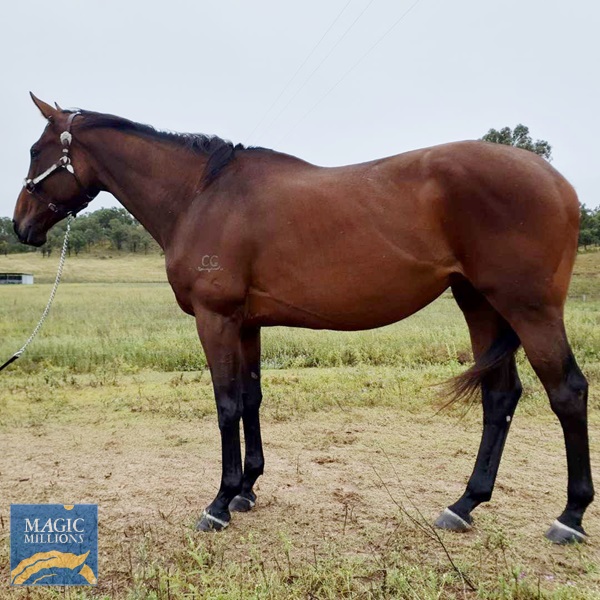 08A83BE6-2817-4DE9-BD94-52EBFC0B5F93.jpg - Image 1