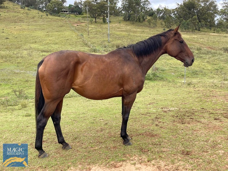 C4DCF055-8A67-43EB-B3EE-B7A663B9AD95.jpg - Image 2