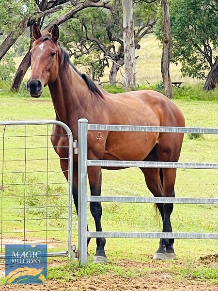 F5909C47-215C-40B3-BE33-D8D604CC505C.jpg - Image 3