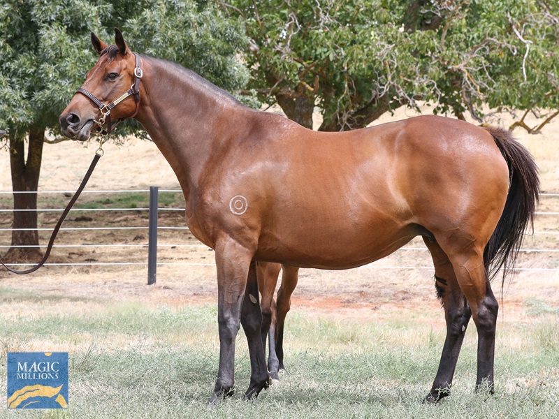 Misstiflying__6445.jpg - Image 1