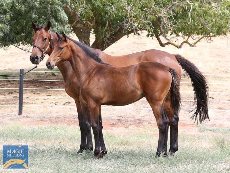 D'Argento x Misstiflying__6301.jpg - Image 2