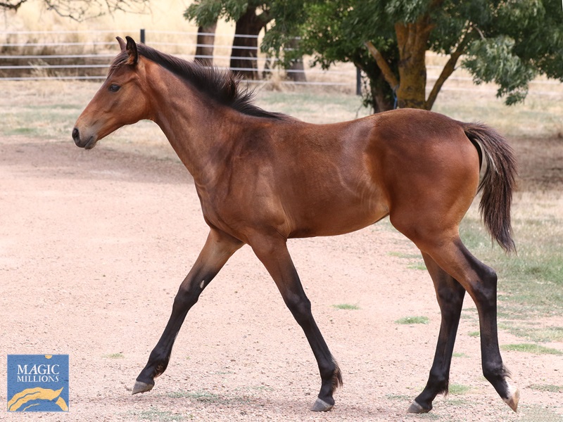 D'Argento x Misstiflying__6219.jpg - Image 3