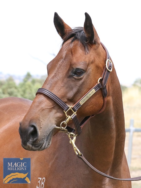 Misstiflying__6479.jpg - Image 4