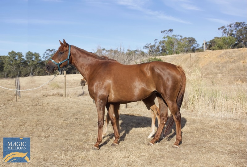 BA54D3C1-6A5D-4DAC-B8B1-AB1A1E532339.jpg - Image 1