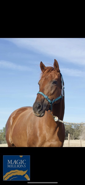 E950AB5D-6DFF-4520-A512-3D0C0615E271.jpg - Image 2