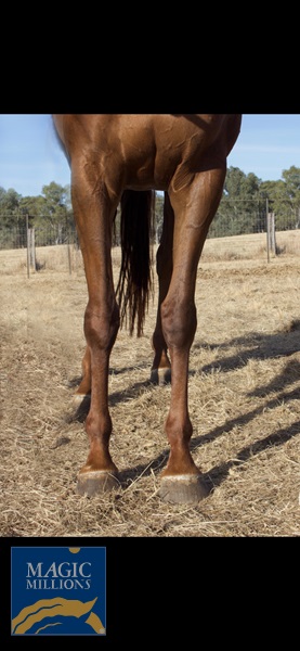 836DB22C-ECFA-4AA9-8901-F8956BA83865.jpg - Image 3