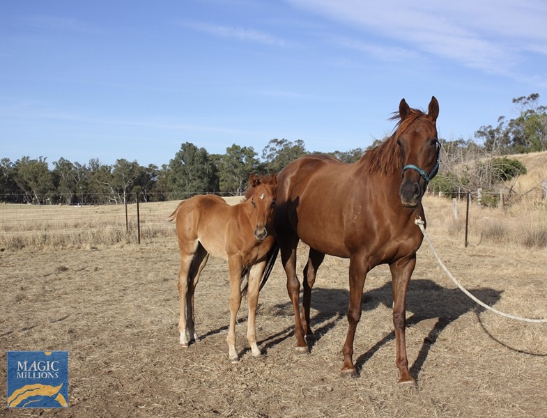 0511424C-5D0C-45A1-B7F3-3E960983750E.jpg - Image 4