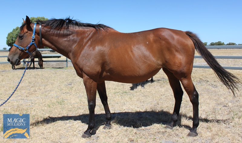 KEZZABELLE (1).jpg - Image 1