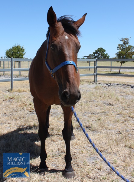 KEZZABELLE (2).jpg - Image 2