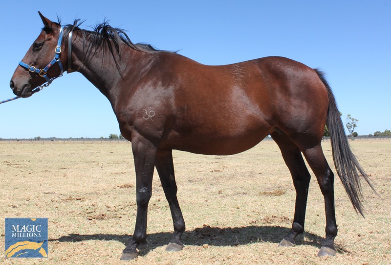 PROMOTIONAL (1).jpg - Image 1