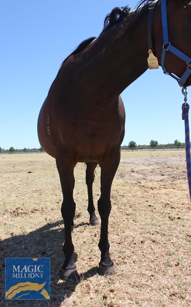 PROMOTIONAL (2).jpg - Image 2