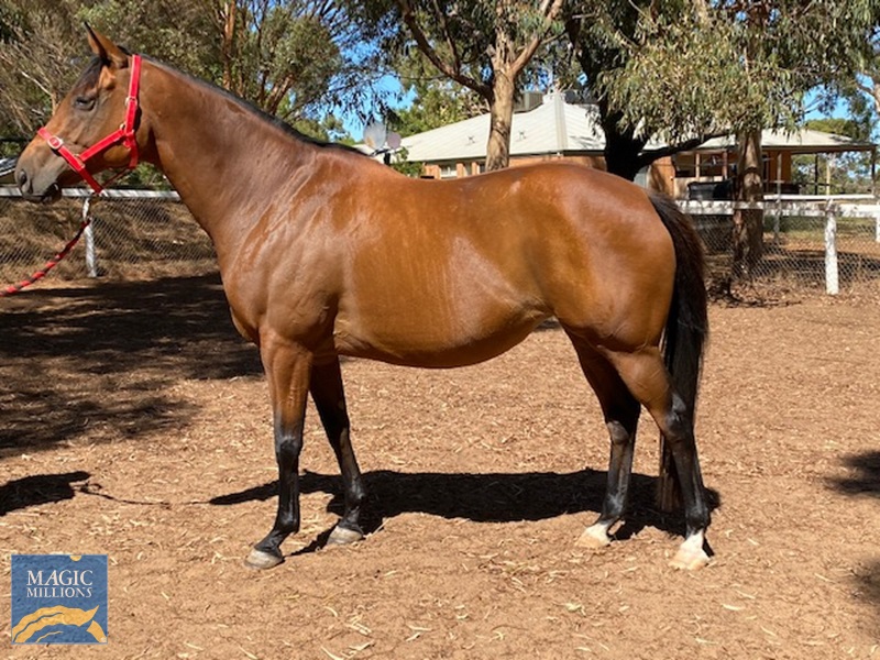 IMG_2174.jpg - Image 1