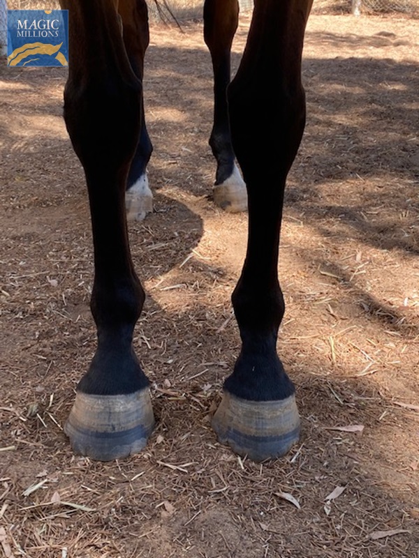 IMG_2181.jpg - Image 2