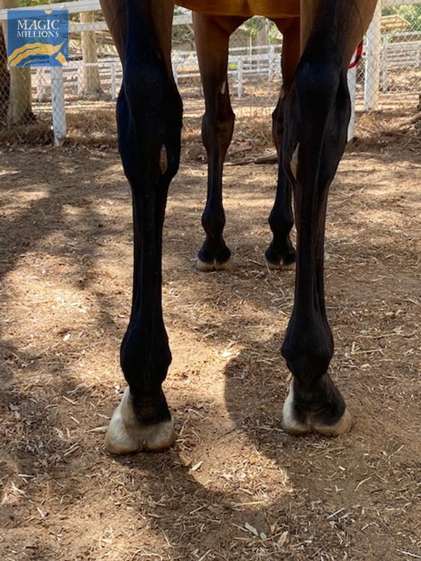 IMG_2182.jpg - Image 3