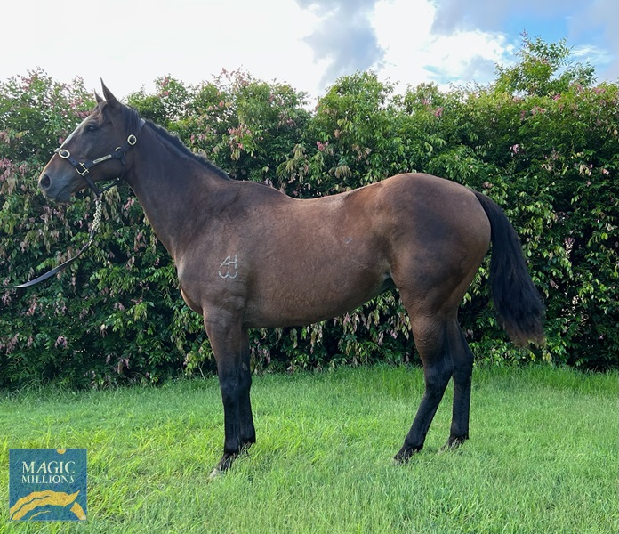 IMG_0843.jpg - Image 1