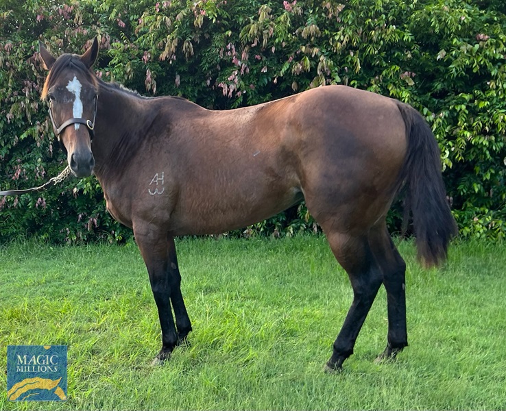 IMG_0848.jpg - Image 2