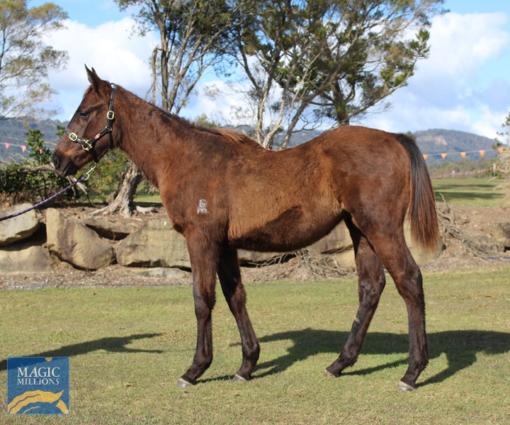 Linlithgow 21 1.jpg - Image 1