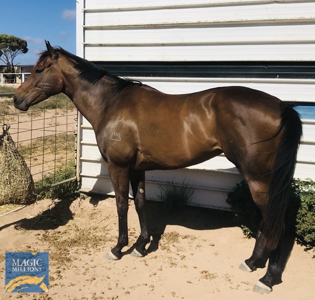 99508861-6B2A-481A-8E92-4B790F0A76E7.jpg - Image 1