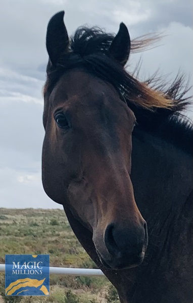 B50C75D5-B90F-4D92-AD69-90D2B054D338.jpg - Image 3